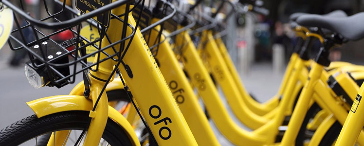 ofo：我和我最后的倔強(qiáng)